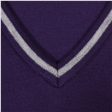 Barnet Hill Academy Knitted V-Neck Jumper