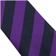 Dover Christ Church Academy Tempest House Tie 