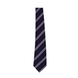 Bruntcliffe Academy House Tie - Peacock (Red)