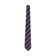 Dyke House College Blue Tie