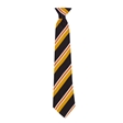Heritage High School MacArthur House Tie - Orange