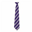 Thetford Academy School Tie