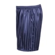 Navy Shadow Stripe PE Shorts