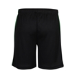 Great Torrington Academy Shorts