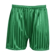 Shadow Stripe PE Shorts