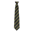 GTS Academy House Tie - Endurance - Gold/Emerald