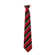 Alcester Grammar School Alder House Tie- Green