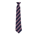The Market Weighton School Wicstun House Tie - Red