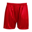 Shadow Stripe PE Shorts