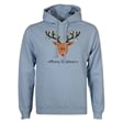 Reindeer Fairy Lights Christmas Hoodie - Adult