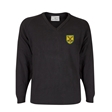 Holywell School Emerald St Patrick House Jumper