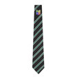 Abbeyfield School Tie - Brunel House (Green)