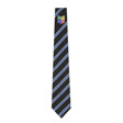 Abbeyfield School Tie - Elizabeth House (Blue)