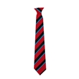 Alcester Grammar School Hawthorn House Tie- Blue