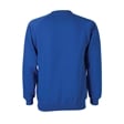 Cotton Rich School Sweatshirt