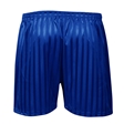 Royal Shadow Stripe PE Shorts