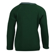Launceston Primary School V-Neck Jumper with Stripe