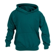 Jade Hoodie