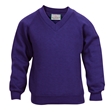 School V-Neck Sweatshirt