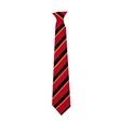 Alcester Grammar School Willow House Tie- Orange