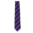 Dover Christ Church Academy Tempest House Tie 