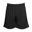 Denefield School Black Mesh PE Shorts