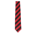 Ely College Scott House Tie