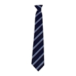 Bedale High School Nidd House Tie - Blue