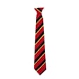 Alcester Grammar School Oak House Tie- Yellow