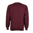 School V-Neck Sweatshirt