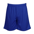 The Clere School Mesh PE Shorts