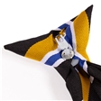 Heritage High School Westwood House Tie - Blue