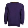 Oxford Spires Academy V-Neck Jumper - Seacole (Green) -Yrs 10 & 11 Sept 2026