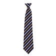 Ferryhill School Clip on Tie