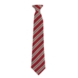 All Saints' CV Academy School Clip on Tie