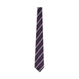 Dyke House College Purple Tie