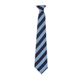 Cape Cornwall School Tie