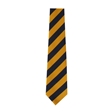 Dover Christ Church Academy House Ties