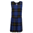 Charles Darwin Primary & Nursery School Tartan Pinafore