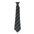 GTS Academy House Tie - Resolution - Purple/Emerald