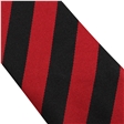 Ely College Scott House Tie