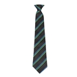 GTS Academy House Tie - Endeavour - Blue/Emerald