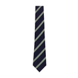 Bruntcliffe Academy House Tie - Holmes (Gold)