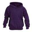 Purple Hoodie