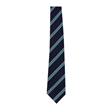 Bruntcliffe Academy House Tie - Whiley (Green)