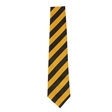Ely College Etheldreda House Tie