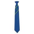 Marshland High School House Tie - Attenborough - Green