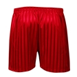 Shadow Stripe PE Shorts