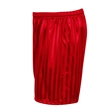 Red Shadow Stripe PE Shorts