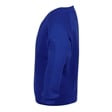 Regal Royal V-Neck School Sweatshirt